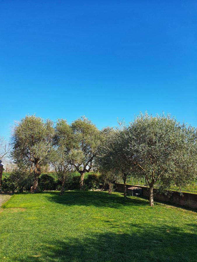 Il Camino Rosso Apartment Sandrigo Exterior photo